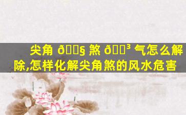 尖角 🐧 煞 🐳 气怎么解除,怎样化解尖角煞的风水危害